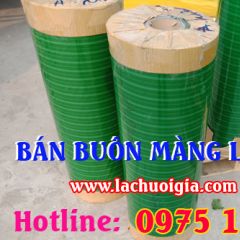 Chuyên Cung Cấp Lá Chuối Giả Giá Rẻ Tại Tphcm